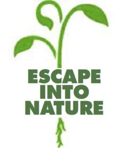 Escape Into Nature